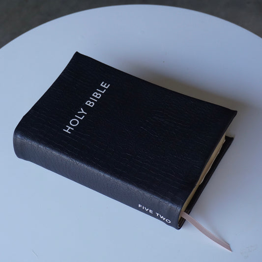 ONYX ALABASTER BIBLE COVER